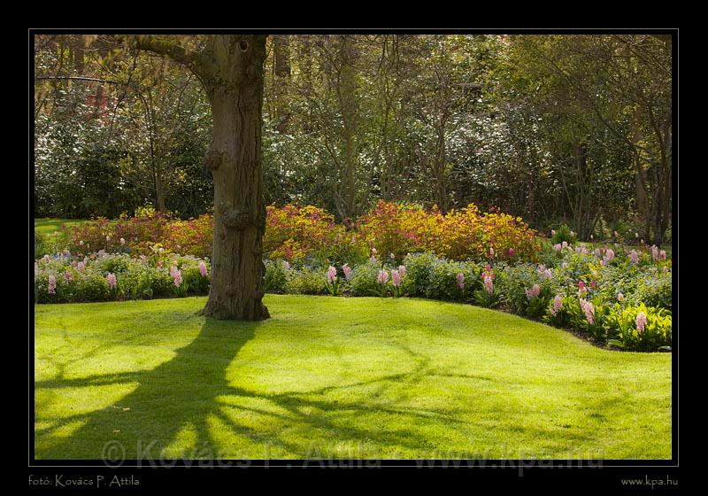 Keukenhof Hollandia 067.jpg